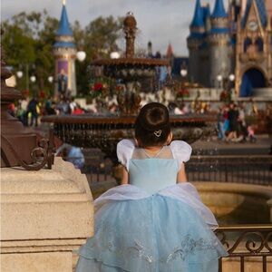 Disney Princess Dress